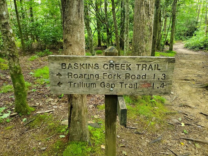 This Hike Is Moderate Enough For Adventure Seekers But Not Too Intimidating This Hike Is Moderate Enough For Adventure Seekers But Not Too Intimidating