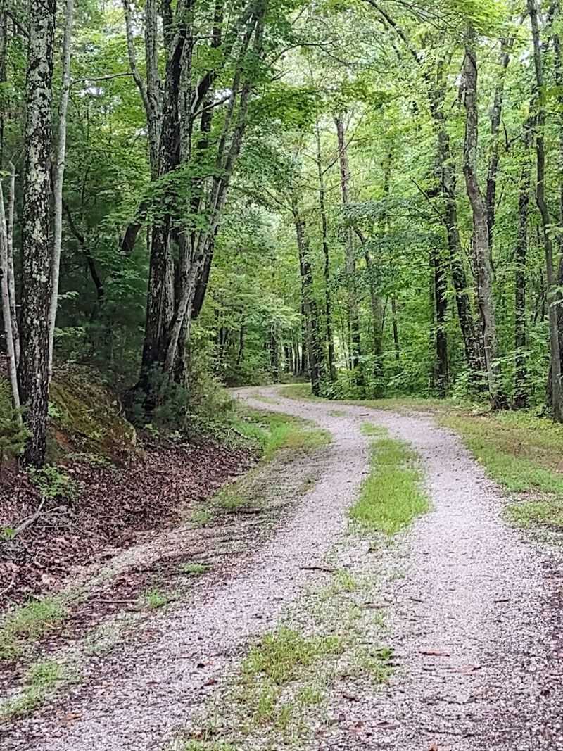 This Quiet Nature Escape Near Knoxville Is Hiding In Plain Sight This Quiet Nature Escape Near Knoxville Is Hiding In Plain Sight