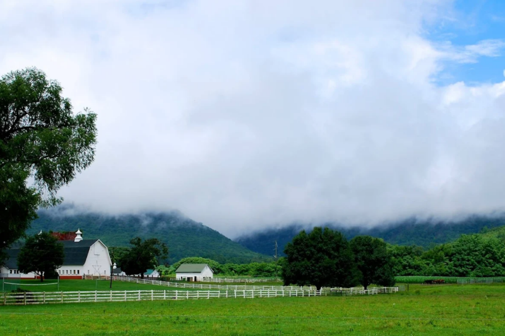 This Quiet Tennessee Farm Is The Perfect Escape For Anyone Craving Fresh Air And Slower Moments