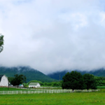 This Quiet Tennessee Farm Is The Perfect Escape For Anyone Craving Fresh Air And Slower Moments