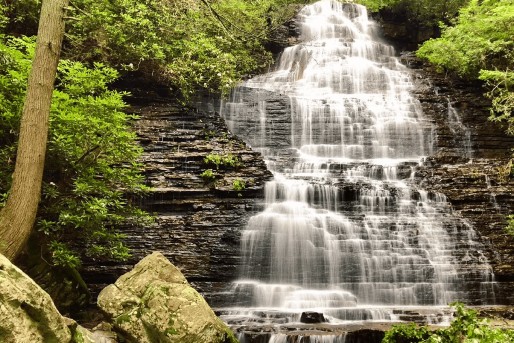 This Short Tennessee Trail Leads To A Hidden 65-Foot Waterfall In The Forest