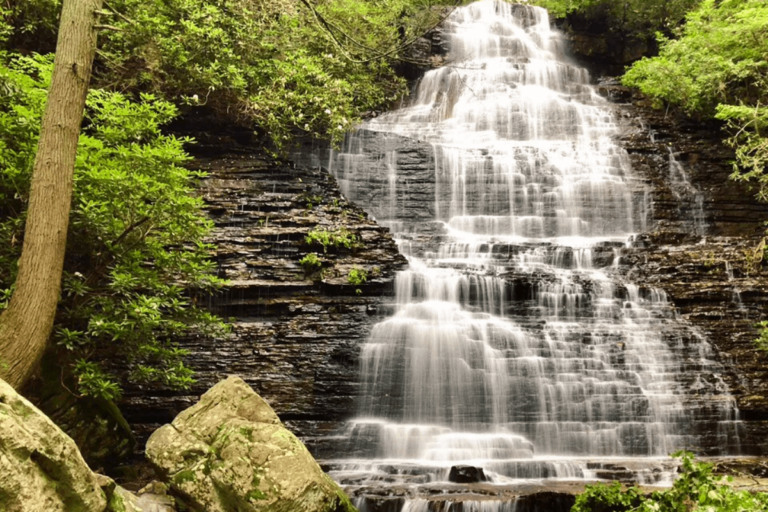 This Short Tennessee Trail Leads To A Hidden 65-Foot Waterfall In The Forest