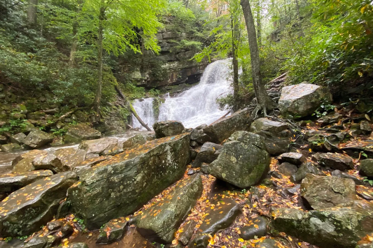 This Short Tennessee Trail Packs Big Views In Just 2.5 Miles