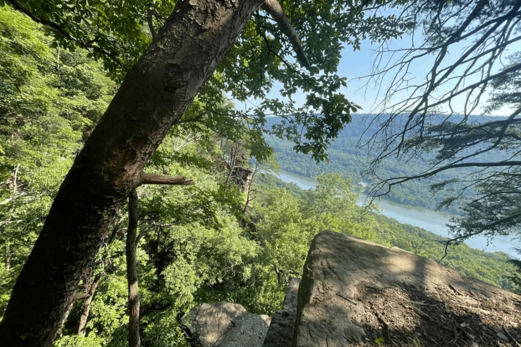 This Under-an-Hour Tennessee Hike Has Views Worth Returning For Year-Round