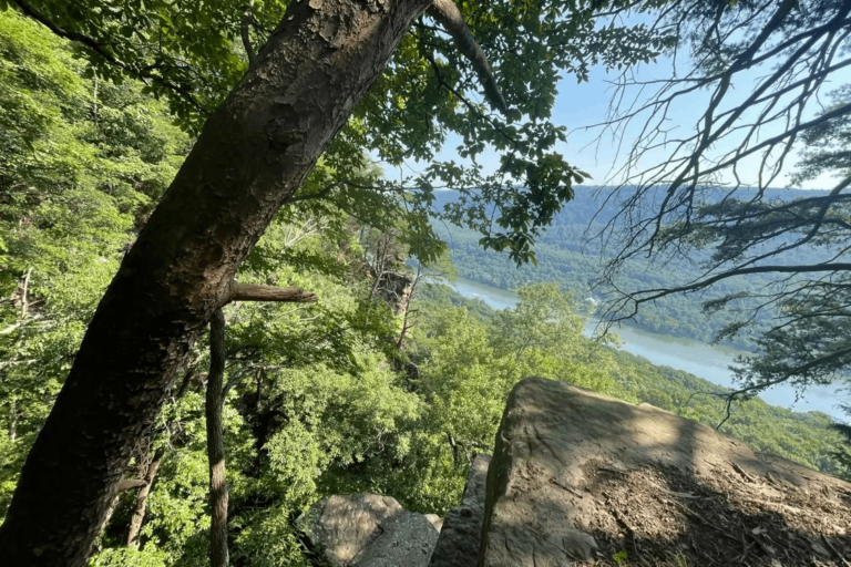 This Under-an-Hour Tennessee Hike Has Views Worth Returning For Year-Round