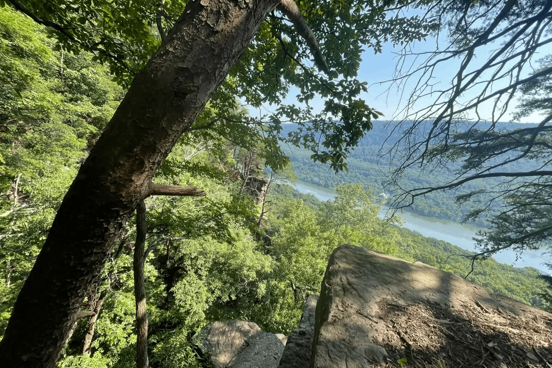 This Under-an-Hour Tennessee Hike Has Views Worth Returning For Year-Round