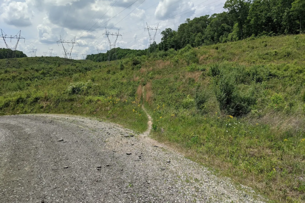This Underrated Park Near Knoxville Is A Dreamy Escape For Bird-Watching And Scenic Trails