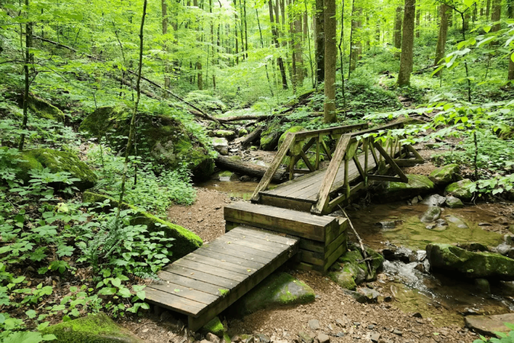 This Underrated Tennessee State Park Has A Name You Won't Forget And Trails You'll Want To Explore