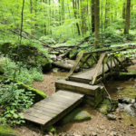 This Underrated Tennessee State Park Has A Name You Won’t Forget And Trails You’ll Want To Explore