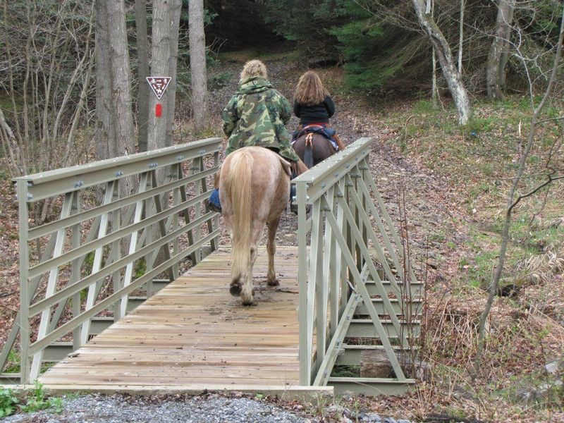 Thunder Mountain Equestrian Trail, Elk State Forest, Pennsylvania Thunder Mountain Equestrian Trail, Elk State Forest, Pennsylvania