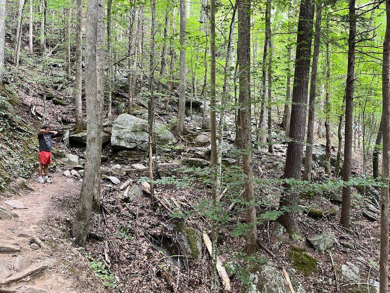 Tips For Hiking Spruce Flats Falls Trail Safely