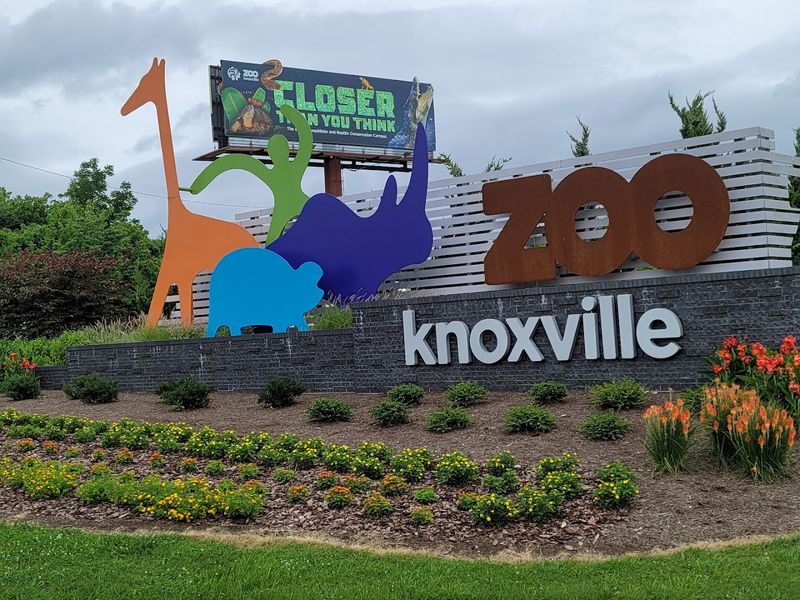 Tips for Planning Your Rhino Meet-and-Greet in Knoxville Tips for Planning Your Rhino Meet-and-Greet in Knoxville