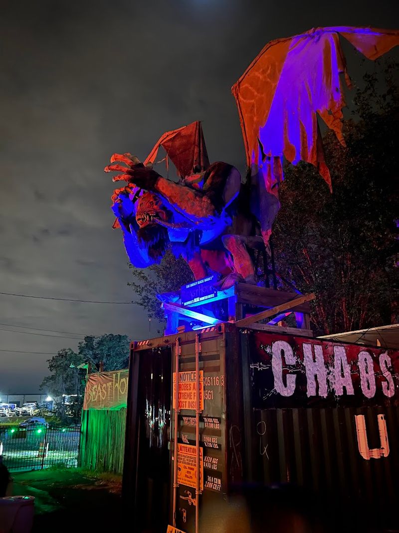 Tips for Surviving Your Visit to BEAST HOUSE