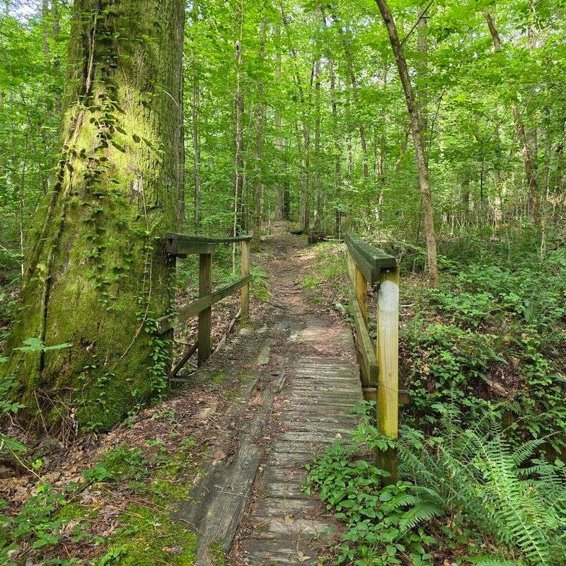 Trail Network for Every Fitness Level Trail Network for Every Fitness Level