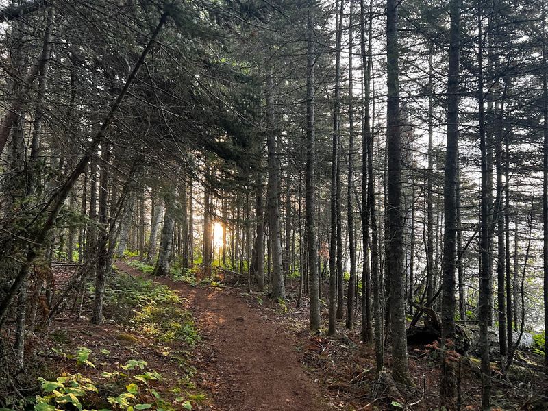 Trails That Range From Scenic to Seriously Demanding Trails That Range From Scenic to Seriously Demanding