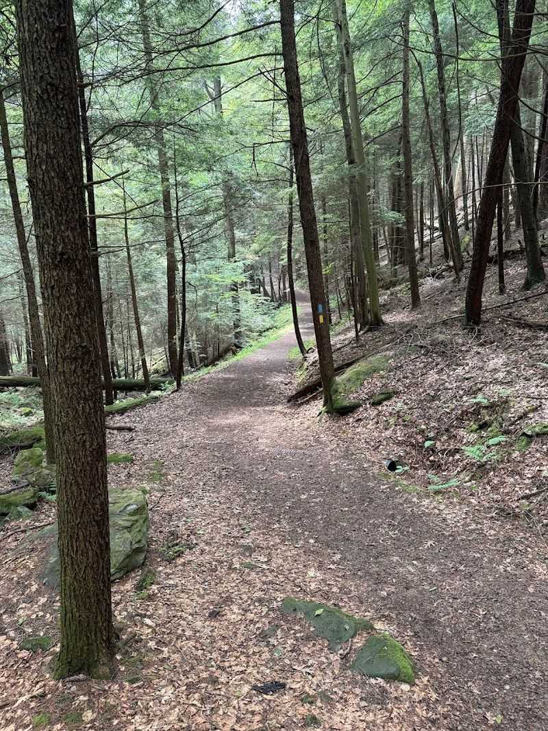Trails, Wildlife, and Rock Formations