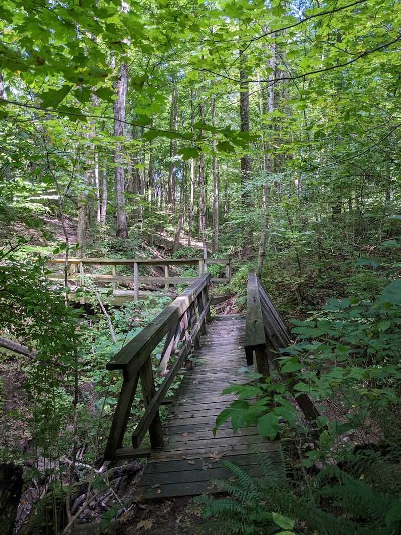 Trails give you a quick dose of woods, water, and wildflowers