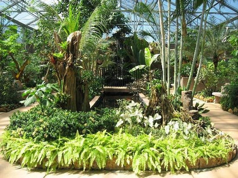 Tropical Conservatory That Rivals Paid Attractions Tropical Conservatory That Rivals Paid Attractions