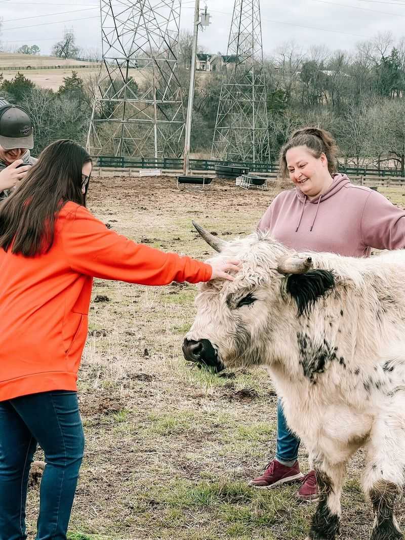 True South Farm — Columbia True South Farm — Columbia