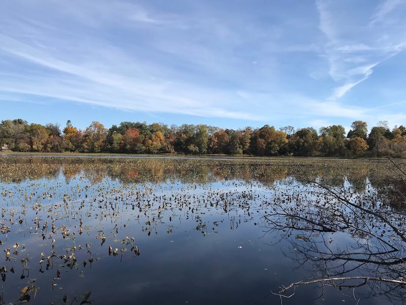 Tulpehaking Nature Center and Abbott Marshlands, Hamilton