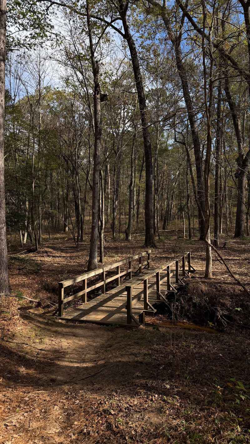 Tyler State Park (Tyler)