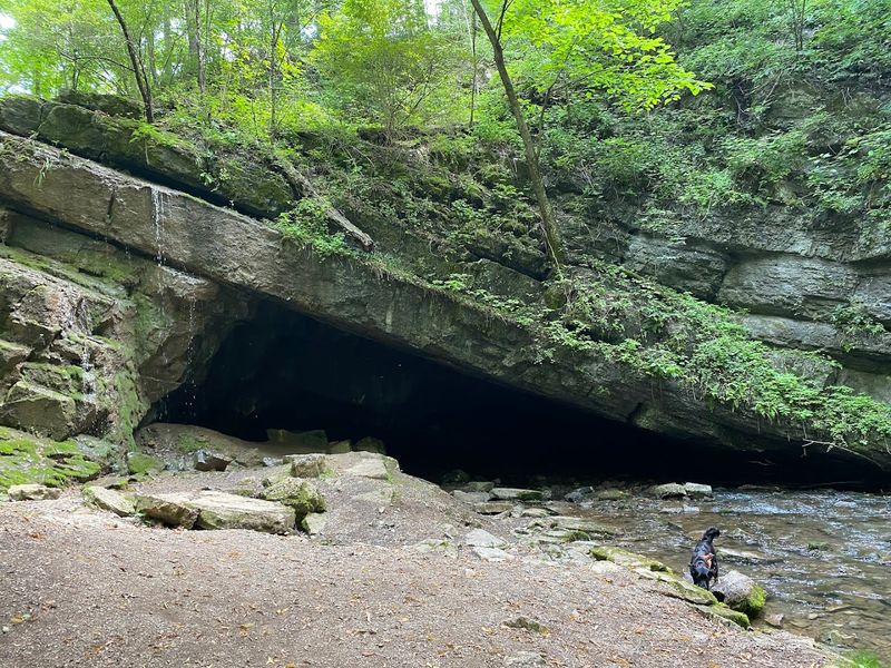 Tytoona Cave – Tyrone Tytoona Cave – Tyrone