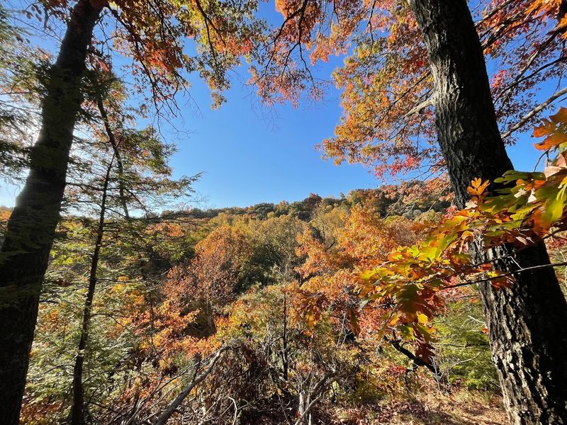 Green’s Bluff Nature Preserve (Owen County) Green’s Bluff Nature Preserve (Owen County)