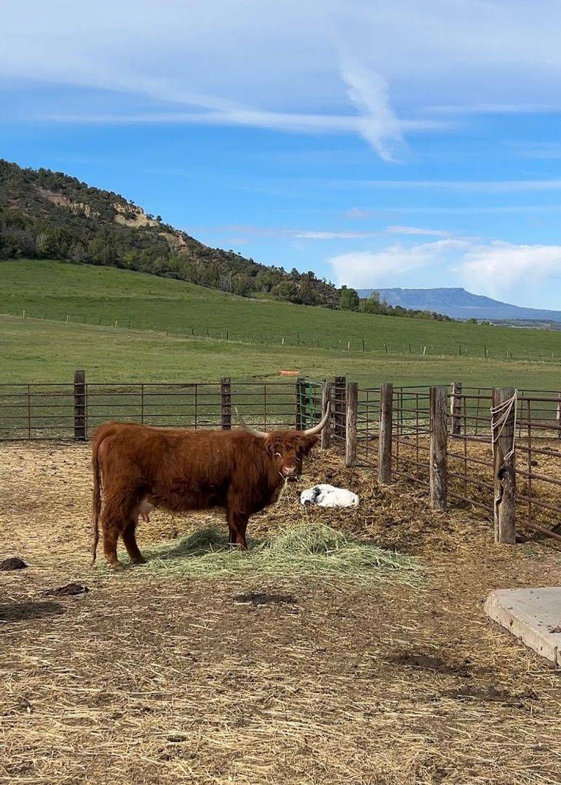 Bar B4 Ranch (Gardner)