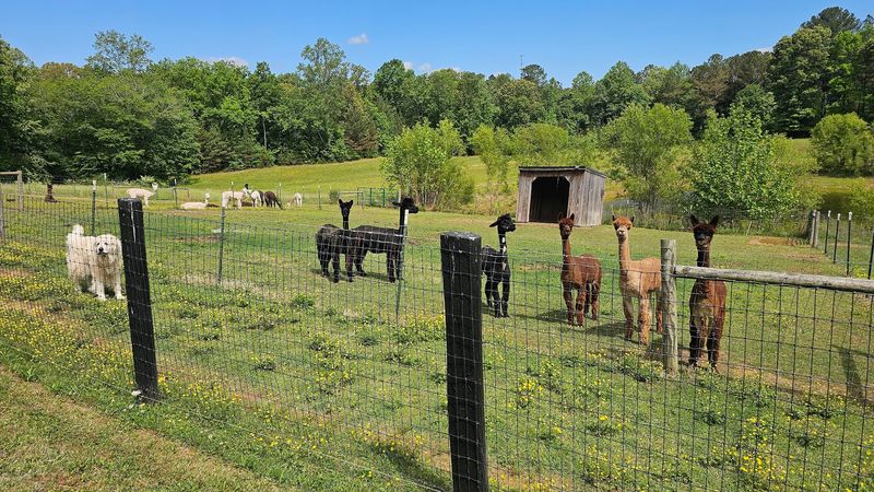 Valley View Farm & Garden — Manchester