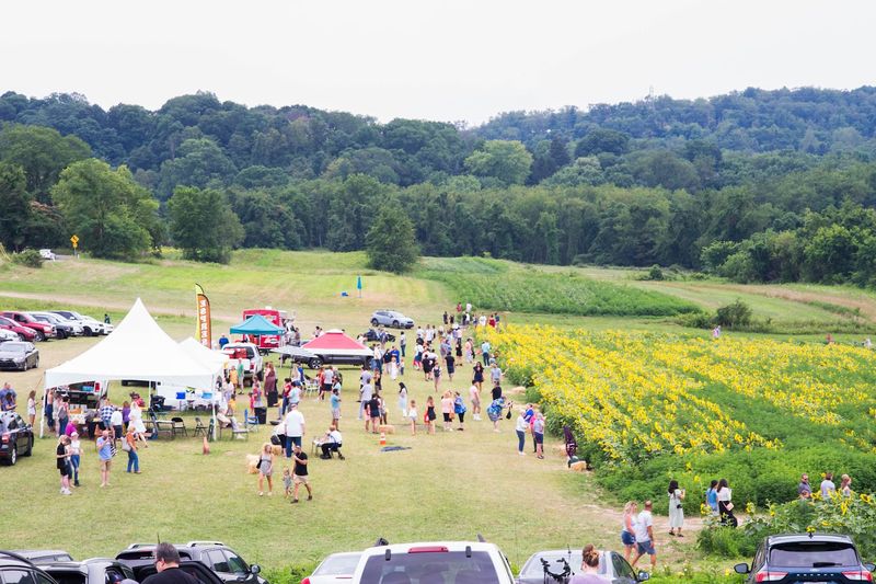 Vendors add just enough festival energy