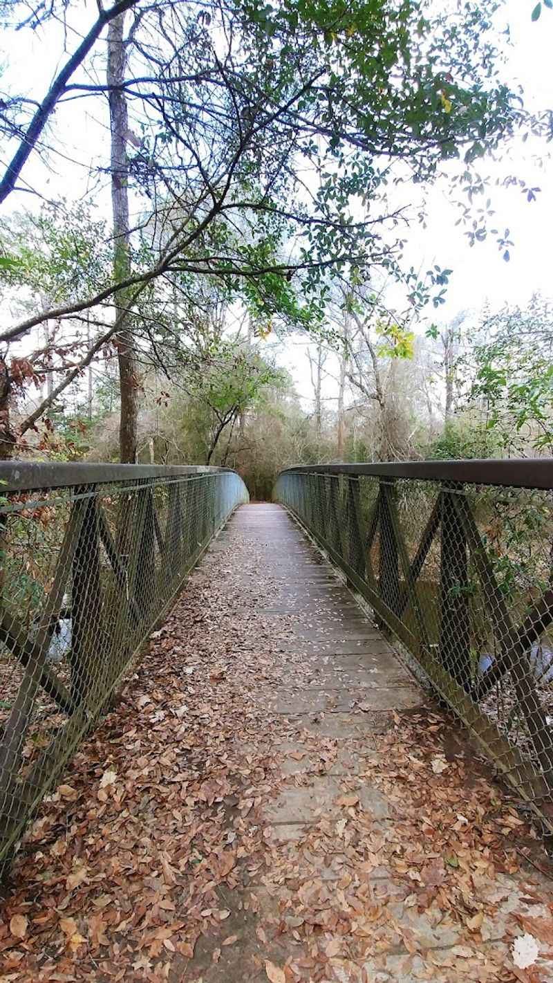 Village Creek Bridge Offers Peaceful Water Views