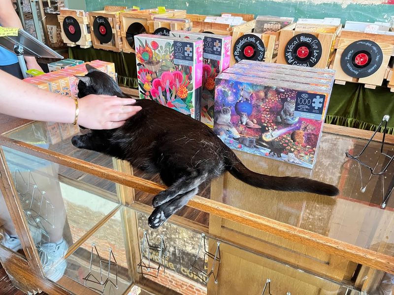 Vinyl Records And A Covered Piano That Add Musical Charm Vinyl Records And A Covered Piano That Add Musical Charm
