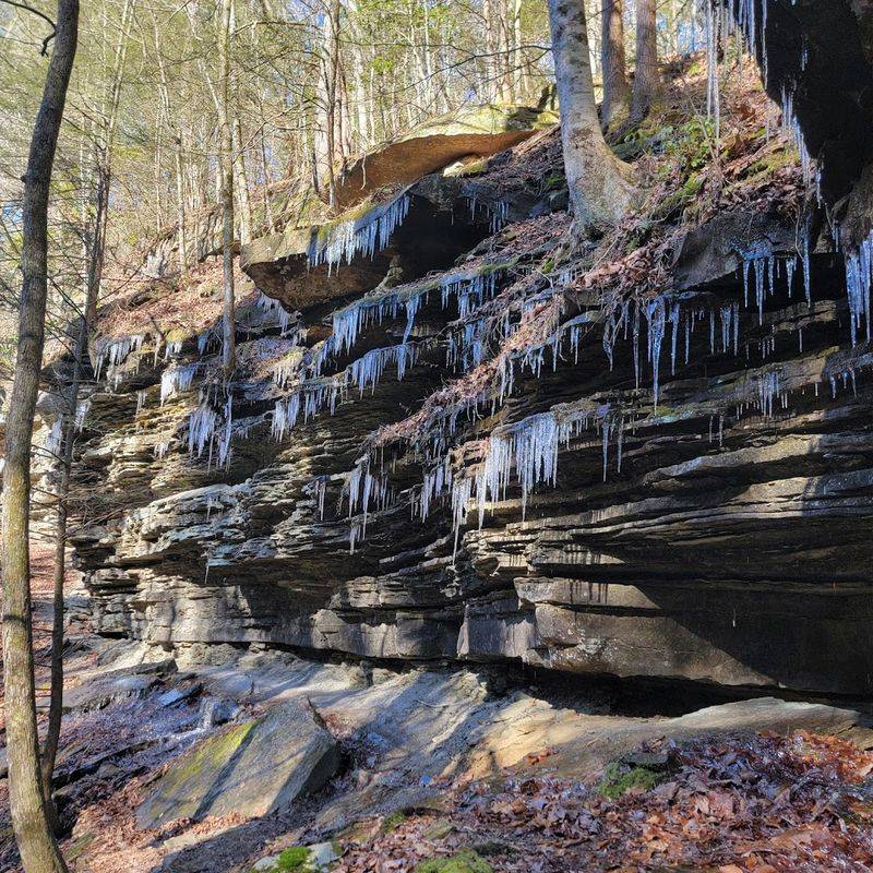 Virgin Falls State Natural Area — Sparta