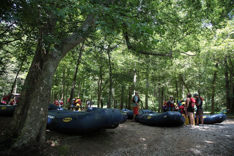 Zip Line Tours: A Different Kind of Rush Zip Line Tours: A Different Kind of Rush