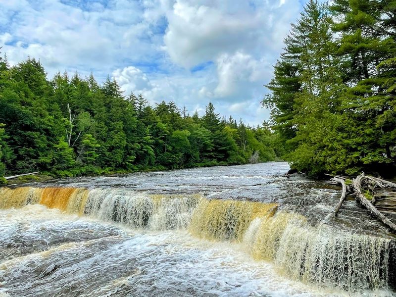 Wade near the Lower Falls at Tahquamenon Falls State Park Wade near the Lower Falls at Tahquamenon Falls State Park