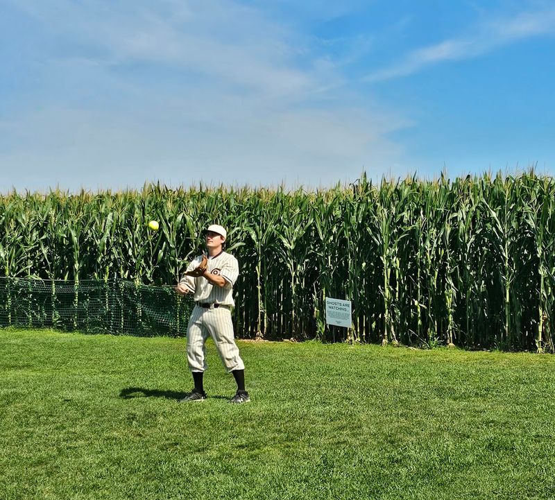 Walking Through the Corn Is Part of the Magic