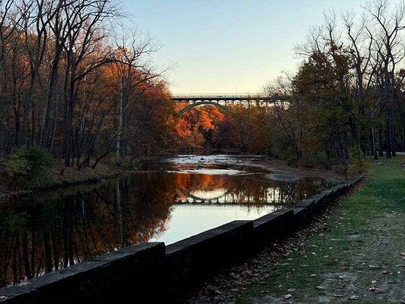 Watch For Wildlife Along The River Corridor