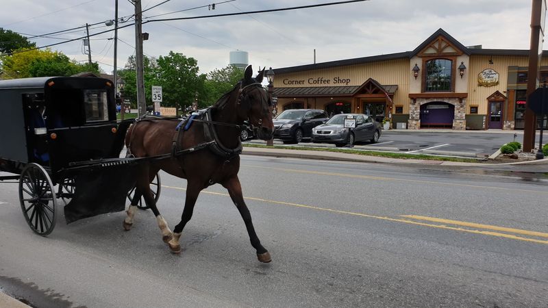Watch the Town Move at a Slower Pace