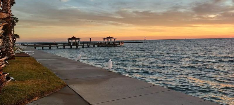 Waterfront Views That Steal the Show Waterfront Views That Steal the Show