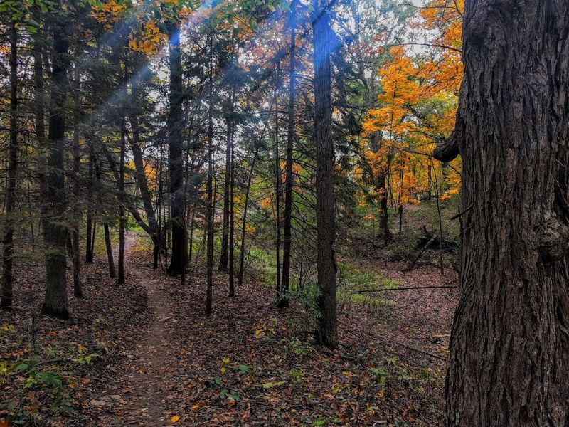 Waterloo Recreation Area