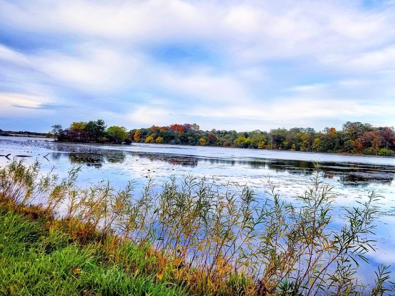 Watkins Lake State Park and County Preserve