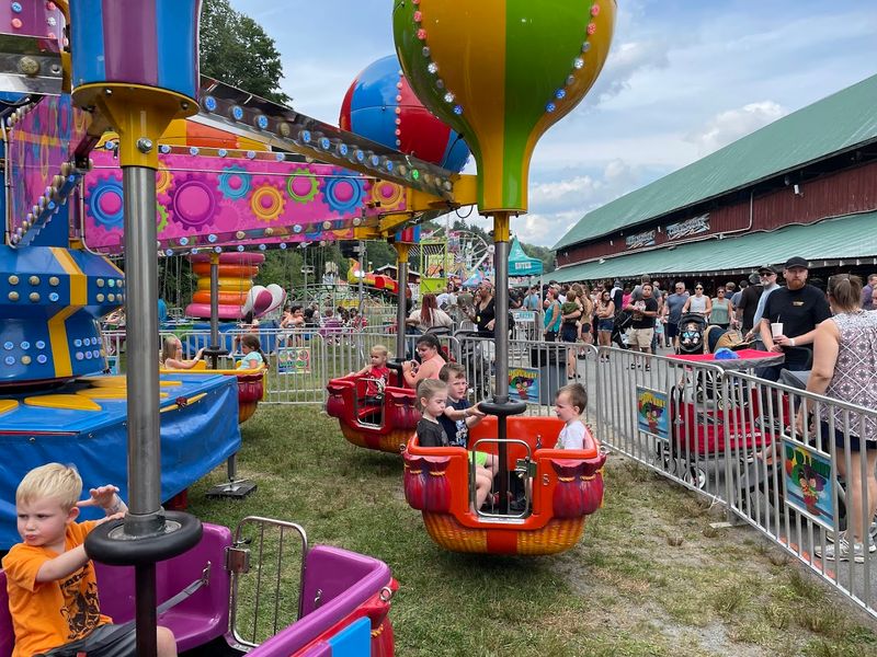 Wayne County Fair