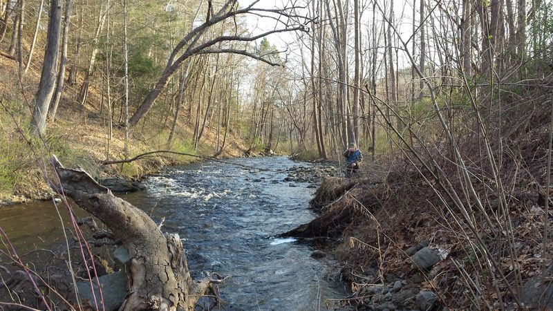 Weekday Calm in the River Valley Weekday Calm in the River Valley