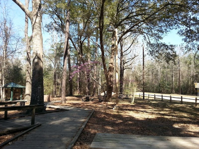 Well-Maintained Boardwalks Keep You Above the Mud