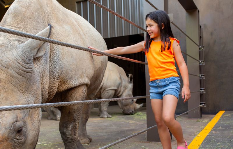 What It's Like to Meet These Gentle Giants Face-to-Face What It's Like to Meet These Gentle Giants Face-to-Face