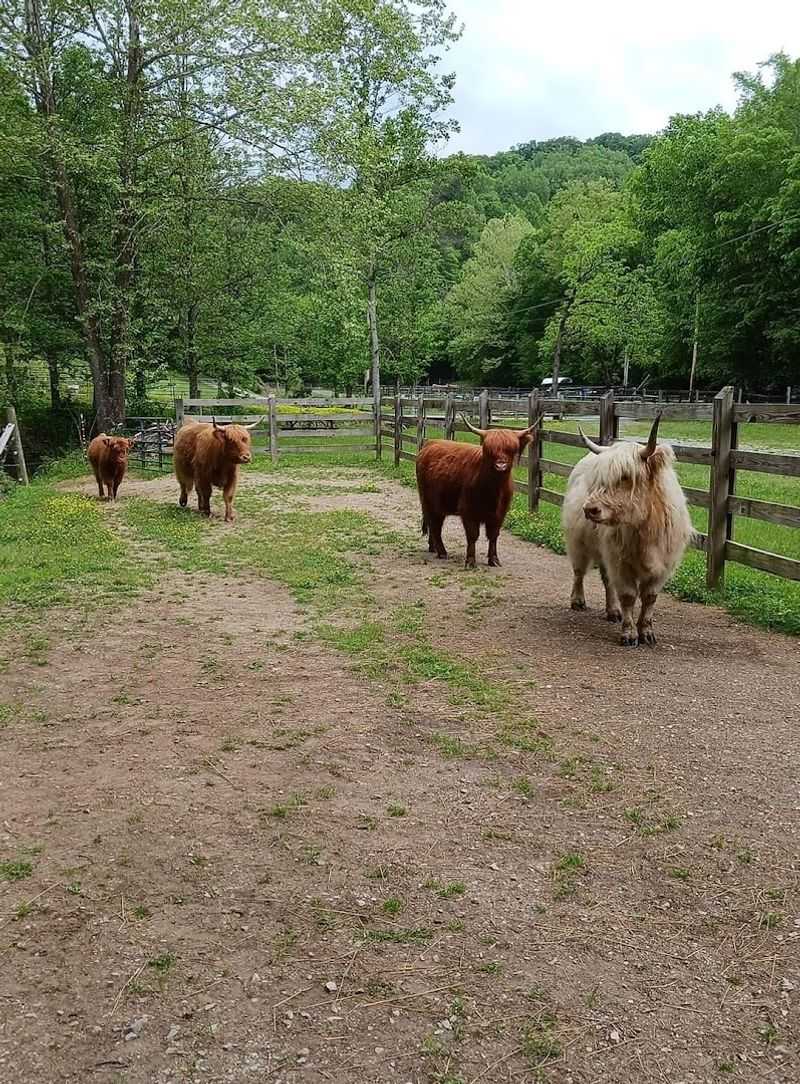 What Makes This Walland Ranch Such a Click-Worthy Hidden Gem