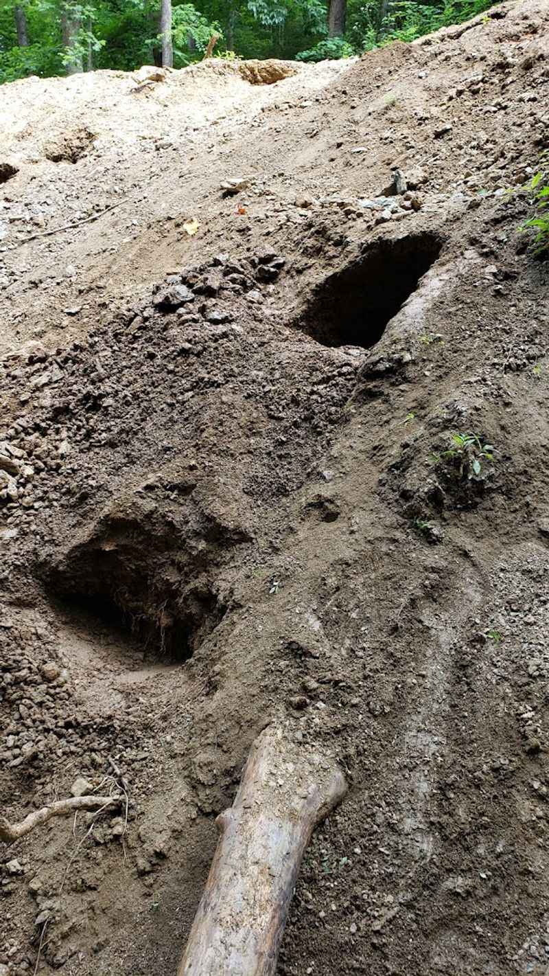 What Mining Here Actually Looks Like Today What Mining Here Actually Looks Like Today
