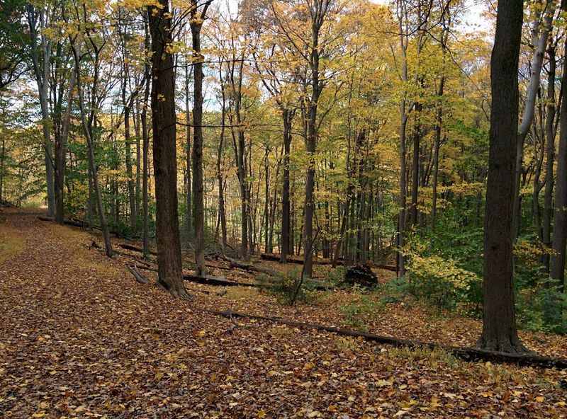 What Riders Can Expect Along the Bridle Trails