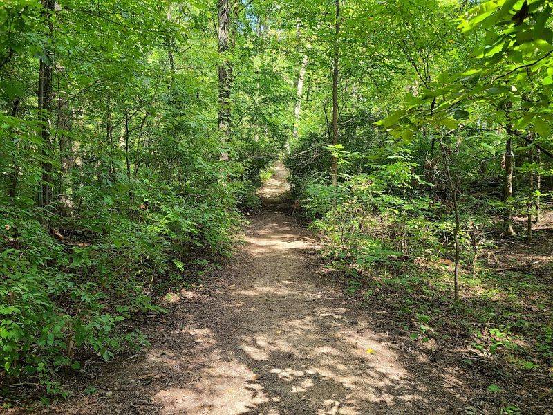 What The Trail Is Like: Steady Climbs, Forest Silence, And Mountain Glimpses What The Trail Is Like: Steady Climbs, Forest Silence, And Mountain Glimpses