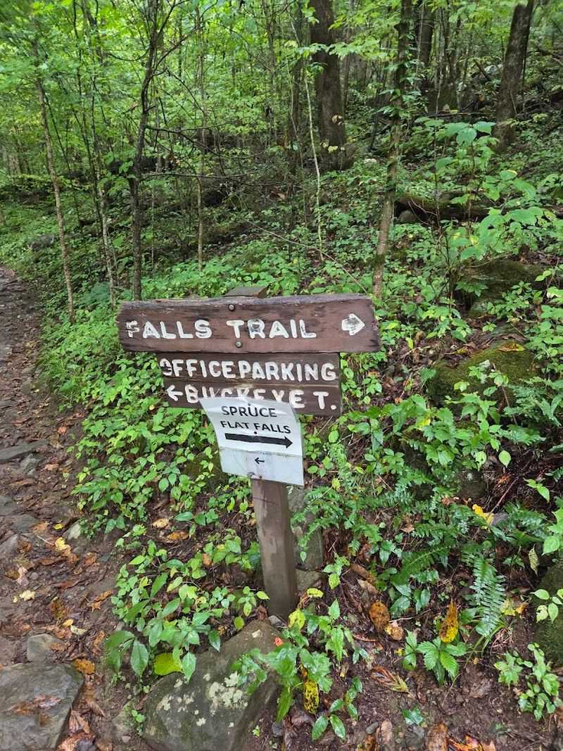 What To Expect On The Trail To Spruce Flats Falls